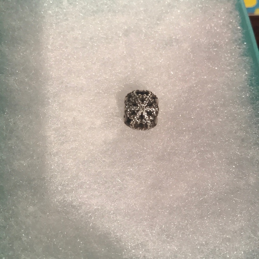 Pandora charm